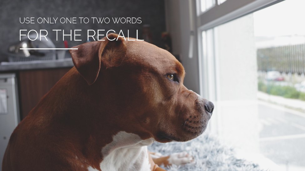 Use Only One To Two Words For The Recall