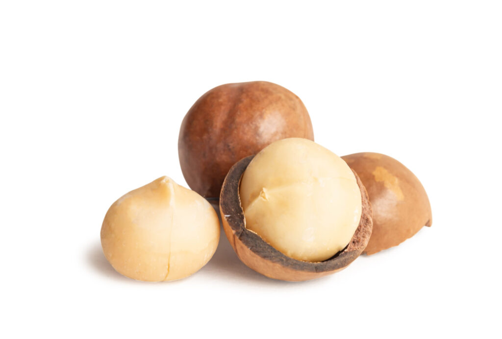 Macadamia nuts