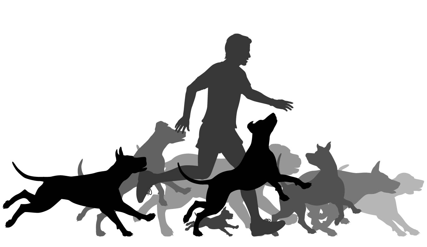 https://petstop.com/wp-content/uploads/2023/01/excersise-illustration.jpg