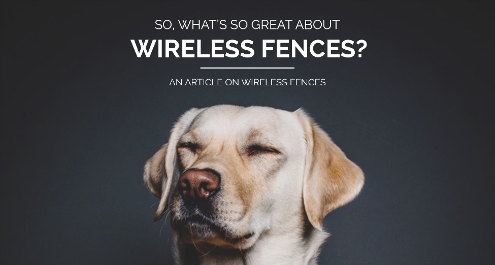 Info Wireless Fences