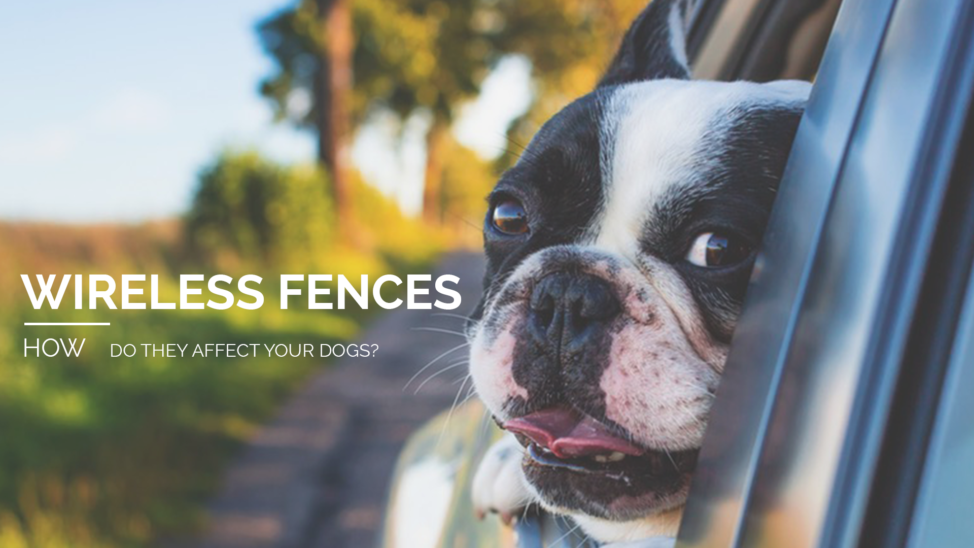 Wireless Fences