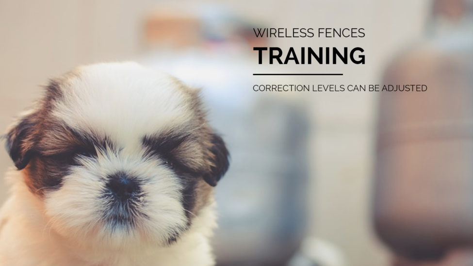 Wireless fence training