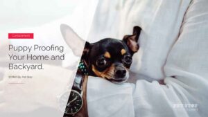 Puppy Proofing