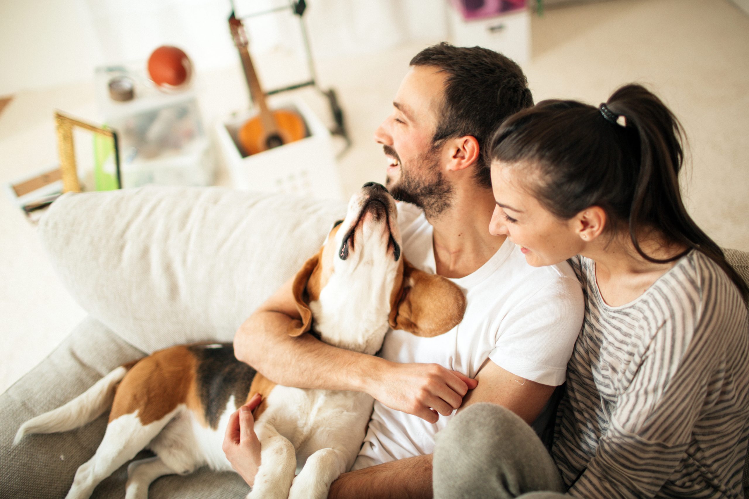 5 Tips to Welcome a New Dog into Your Home